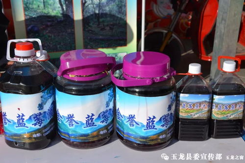 納西特色年貨節 農特產品與文藝演出共舞，春聯贈送添年味