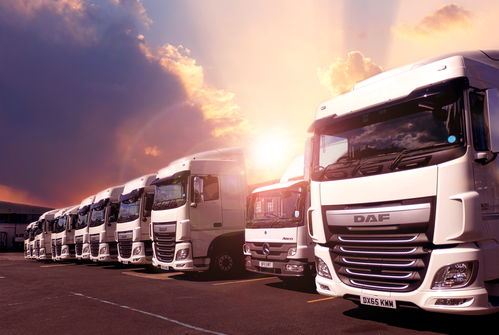 桂蒙山耕冷鏈儲存配送點建設項目方案