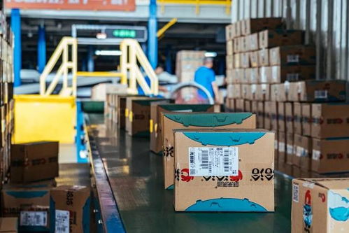 中通快遞融入洽洽智能供應(yīng)鏈最后一環(huán)，年發(fā)貨約800萬(wàn)單