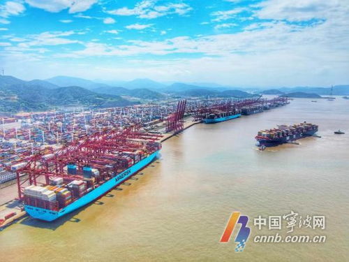 硬核力量曬成績(jī) 寧波舟山港上半年貨物吞吐量達(dá)6.79億噸，彰顯供應(yīng)鏈韌性